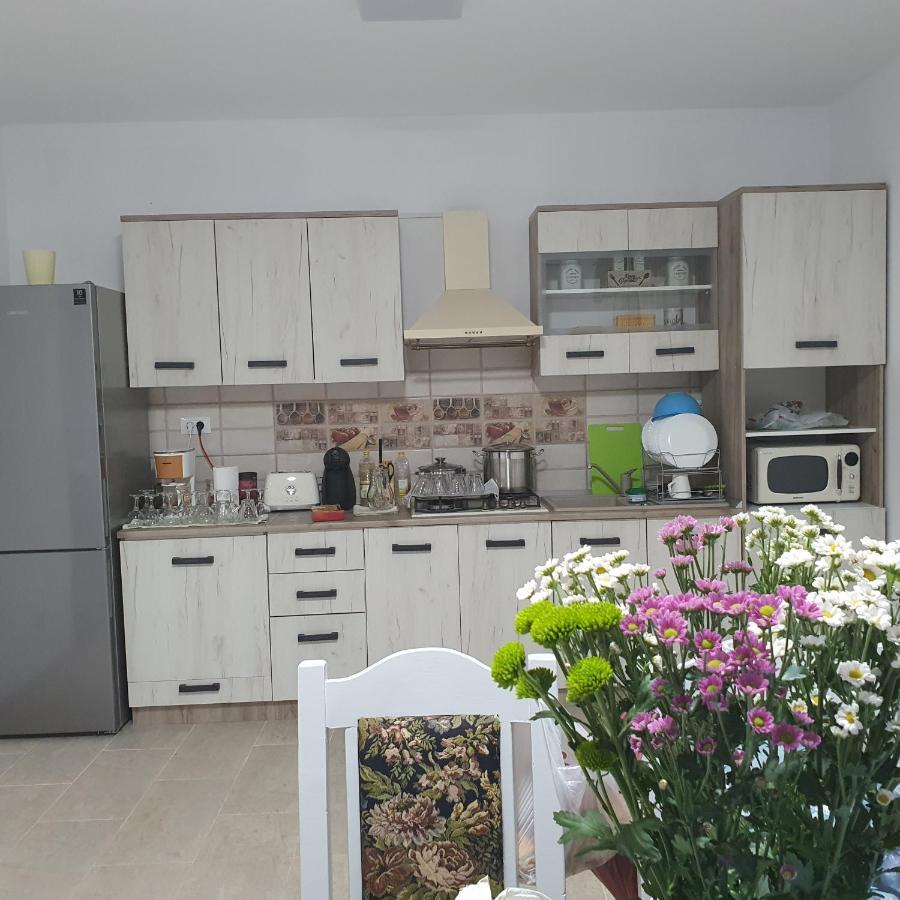 Casa Sofia Apartman Baltatesti Kültér fotó