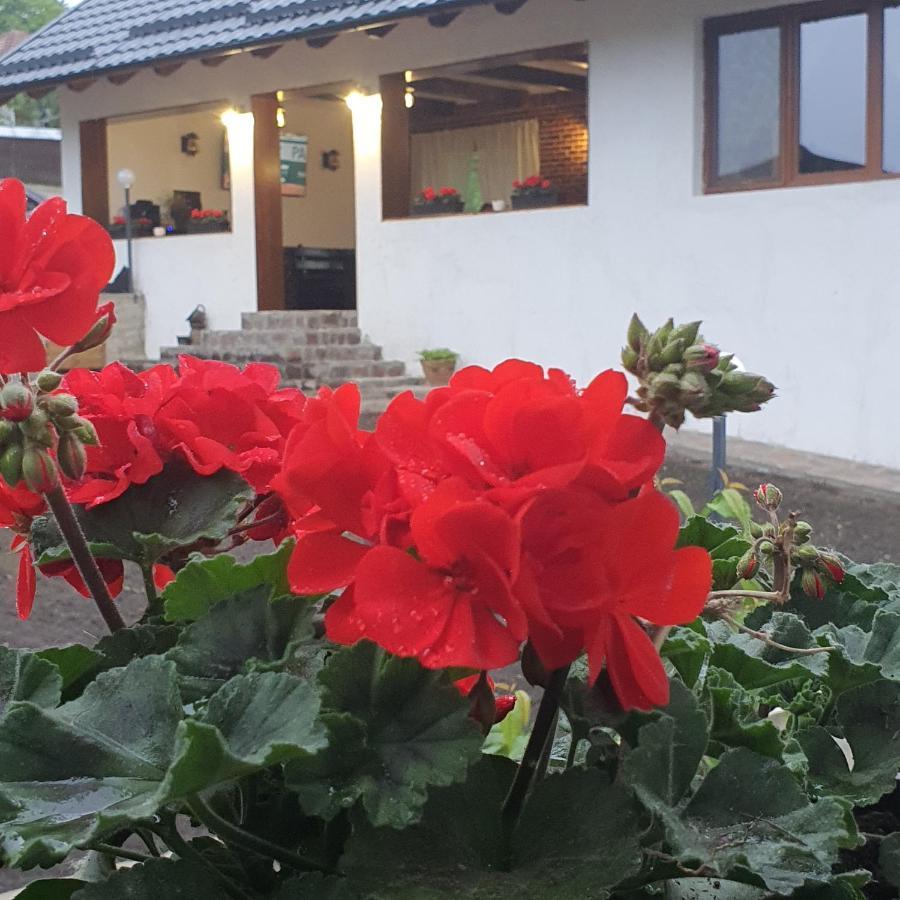 Casa Sofia Apartman Baltatesti Kültér fotó