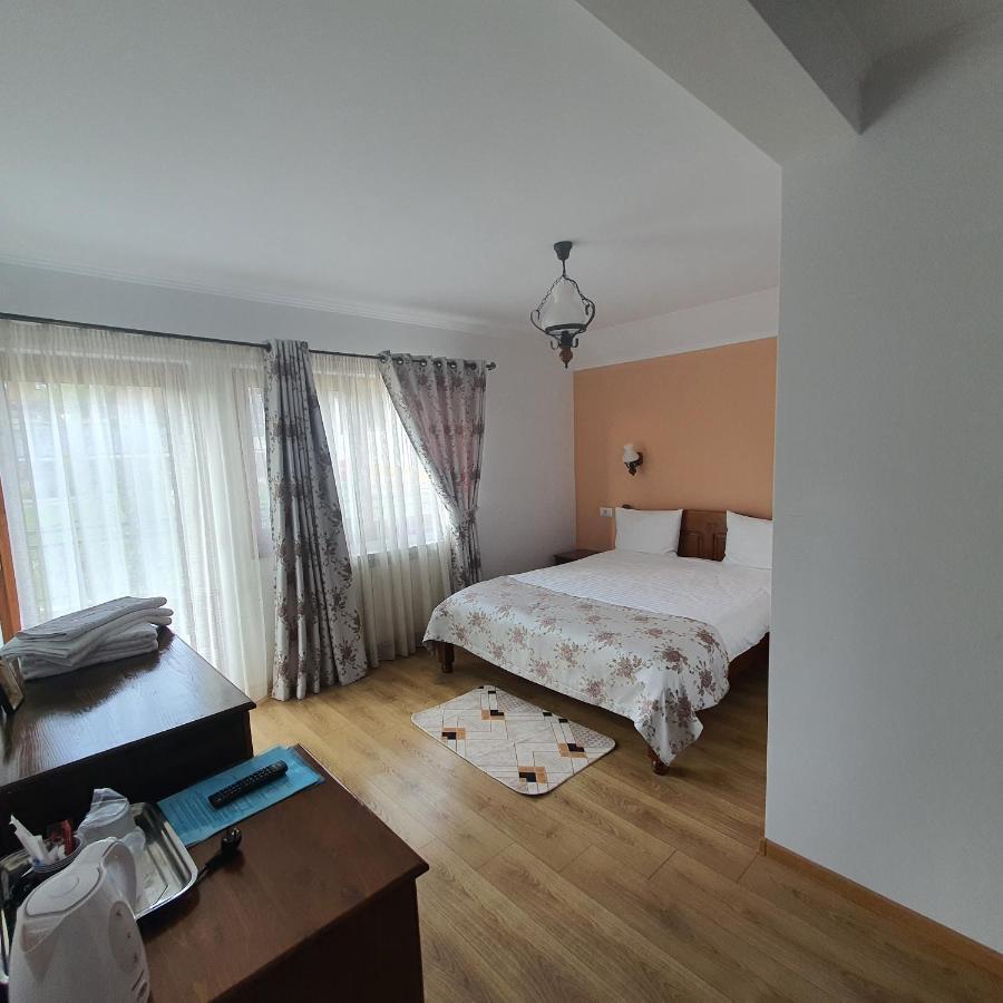 Casa Sofia Apartman Baltatesti Kültér fotó